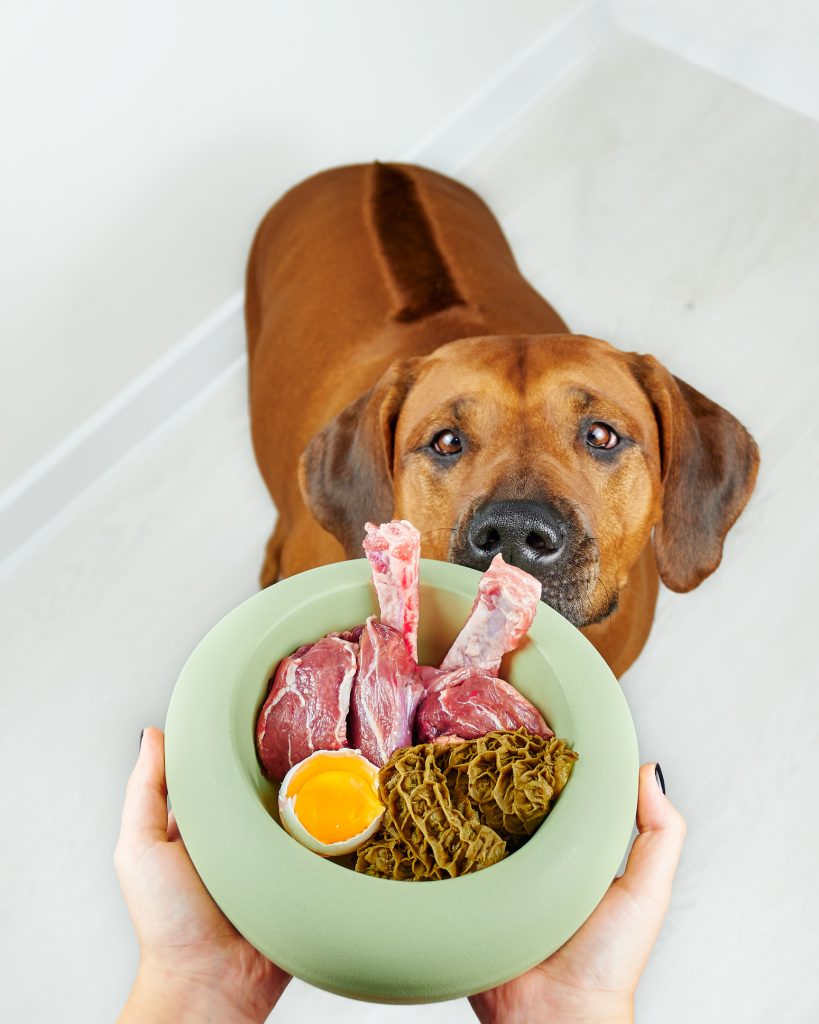 Alimento BARF molido para perros de Zoomies BARF Natural Pets molido: opción práctica de dieta BARF para perros